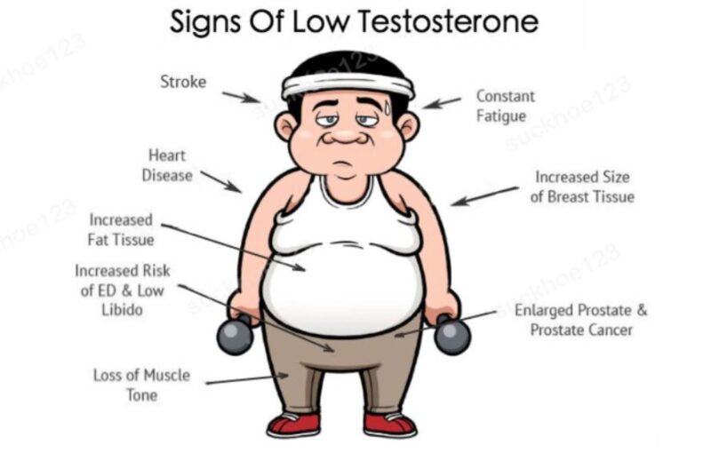 Các dấu hiệu cho thấy mức testosterone thấp
