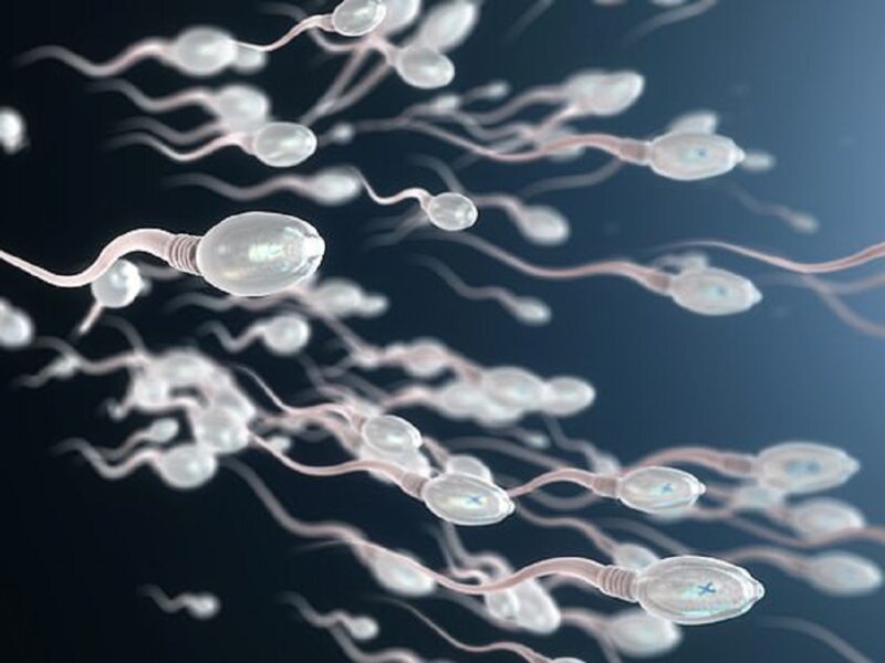 Mật độ tinh trùng thấp sẽ làm giảm khả năng “tinh binh” gặp được trứng