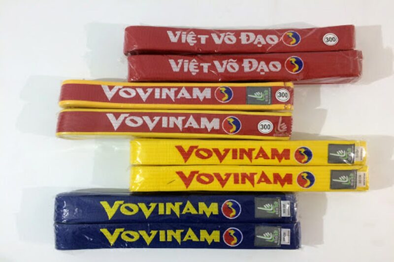 Võ Vovinam có  nhiều đai