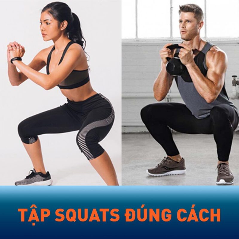 Squat là tư thế đứng lên – ngồi xuống và sử dụng nhiều nhóm cơ khác nhau trên cơ thể